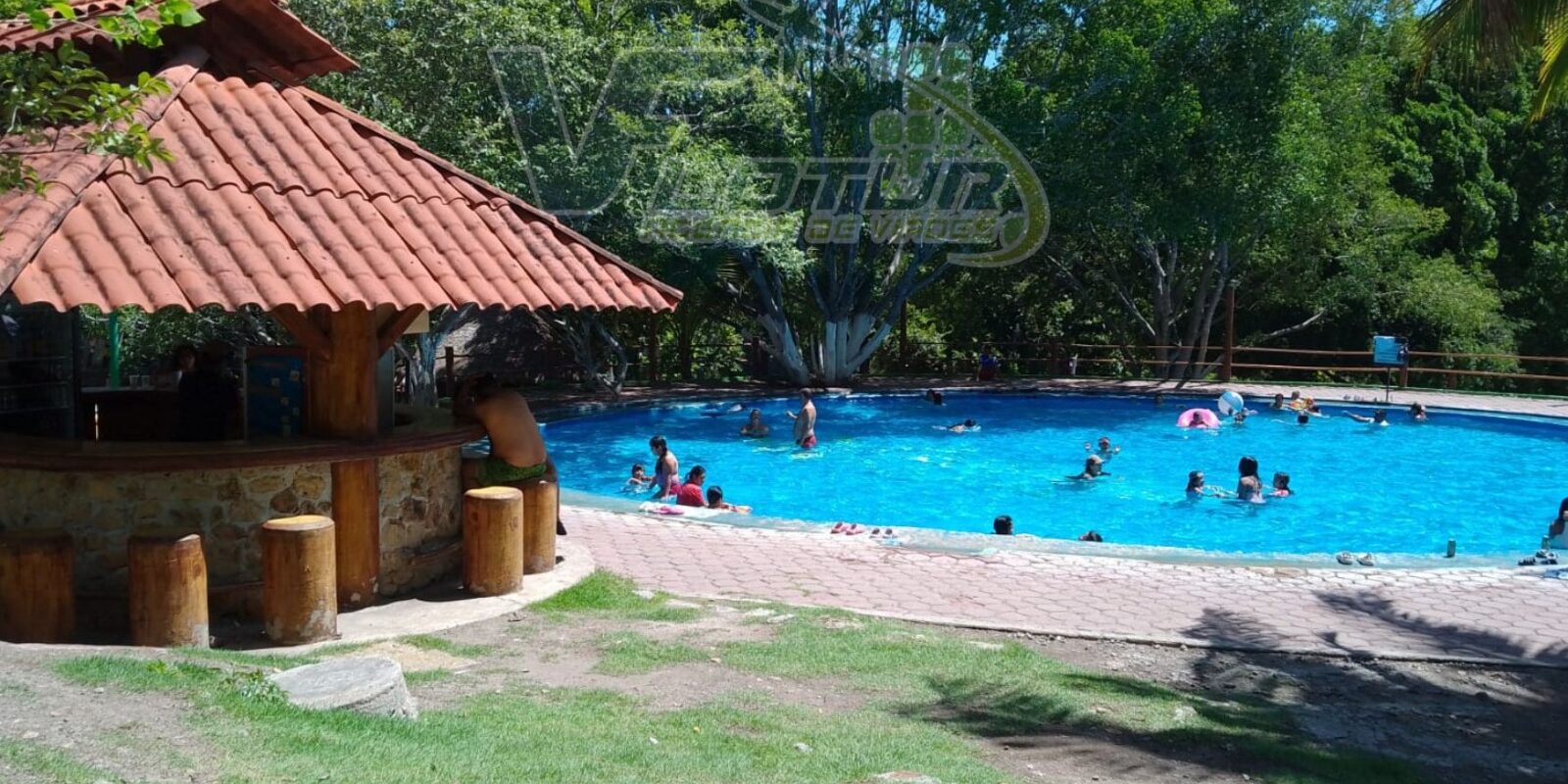 WhatsApp Image 2024-07-31 at 4.15.47 PM