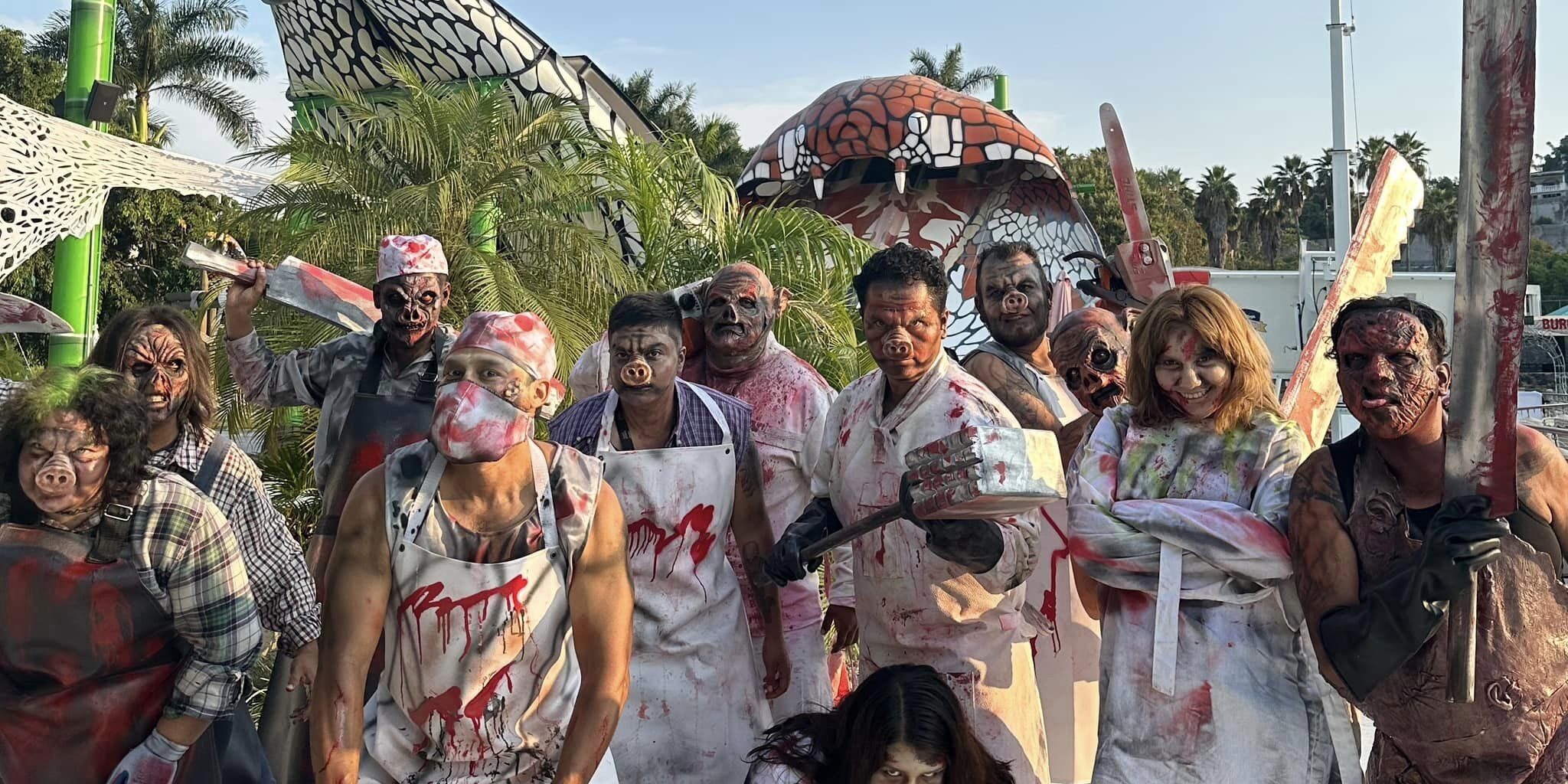 457457436_935576498609478_5085041210655367854_n