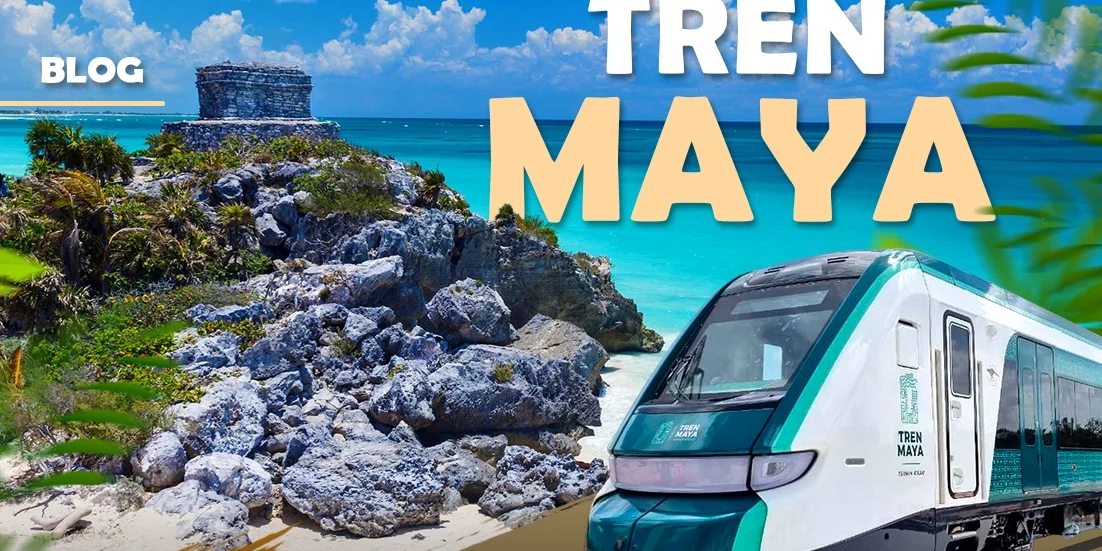 428231e1-3617-4094-8510-738e353d31fa_202311011409255699