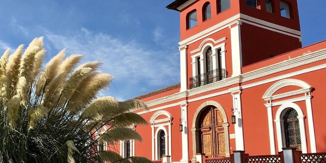 133766751_1343889539277235_6840463662756675944_n